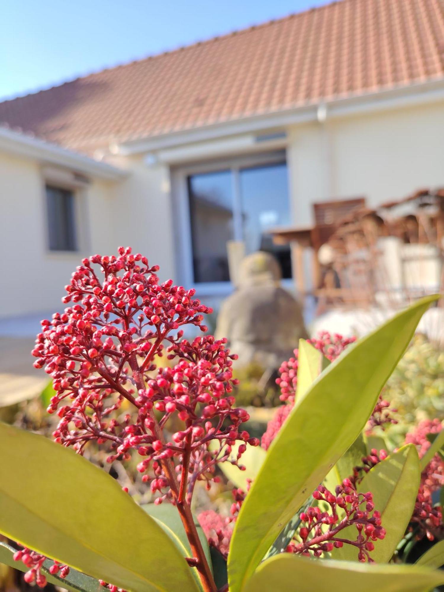 Le Jardin Des Lacs Gite Nature Et Spa Ardres Esterno foto
